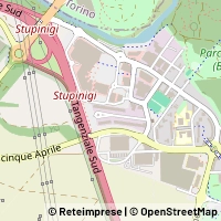 Carte Nichelino