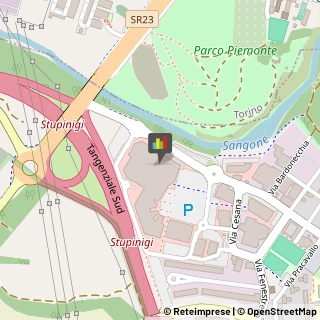 Internet - Provider Nichelino,10042Torino