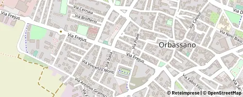 Mappa Orbassano