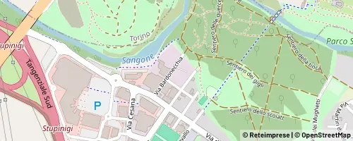 Mappa Nichelino