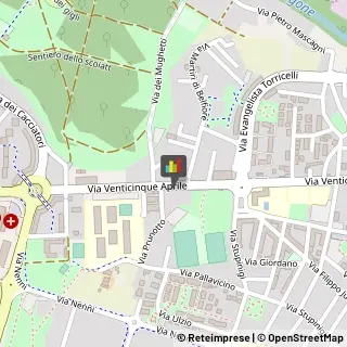 Autoveicoli Commerciali Nichelino,10042Torino