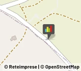 Autofficine e Centri Assistenza Castell'Alfero,47020Asti