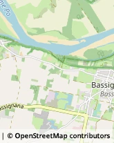 Aziende Agricole Bassignana,15042Alessandria