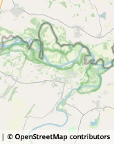 Aziende Agricole Bassignana,15042Alessandria