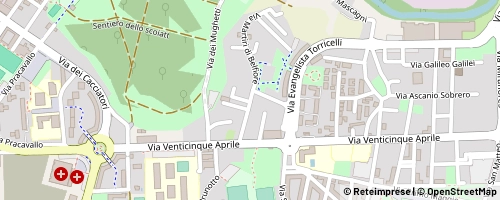 Mappa Nichelino