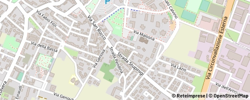 Mappa Orbassano