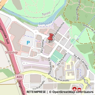 Mappa Via dei Cacciatori, 111, 10042 Nichelino, Torino (Piemonte)