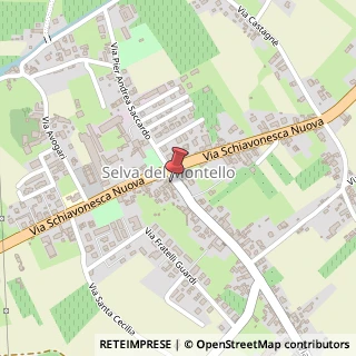 Mappa Via Luigi Pastro, 7, 31040 Volpago del Montello, Treviso (Veneto)
