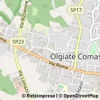 Map Olgiate Comasco