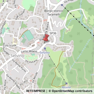 Mappa Corso Monte Rosa, 17, 24020 Selvino, Bergamo (Lombardia)
