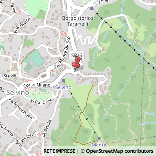 Mappa Corso Monte Rosa, 12, 24020 Selvino, Bergamo (Lombardia)