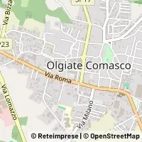 Hartă Olgiate Comasco