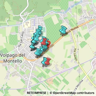 Mappa Via Schiavonesca Nuova, 31040 Montebelluna TV, Italia (0.30345)