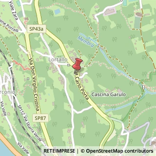 Mappa Via Carlo Porta, 4, 28010 Ameno, Novara (Piemonte)