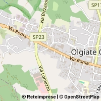 Kort Olgiate Comasco