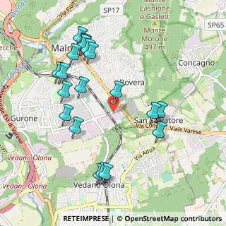 Mappa Via Monsignor Carlo Sonzini, 21046 Malnate VA, Italia (1.066)
