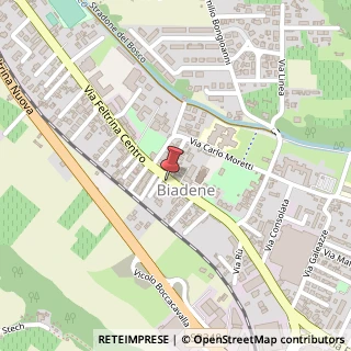 Mappa Via Feltrina Centro, 95, 31044 Montebelluna, Treviso (Veneto)