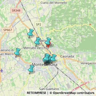 Mappa Via Feltrina Centro, 31044 Montebelluna TV, Italia (1.6125)