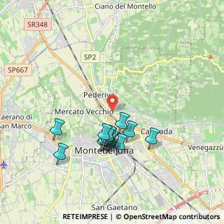 Mappa Via Feltrina Centro, 31044 Montebelluna TV, Italia (1.65143)