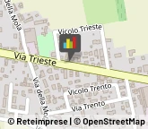 Consulenze Speciali Arcade,31030Treviso