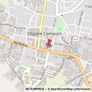 Mappa Via Roma, 8, 22077 Olgiate Comasco, Como (Lombardia)