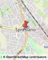 P.za Luciano Rigo, 31,31027Spresiano