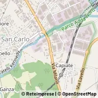 Map Olginate