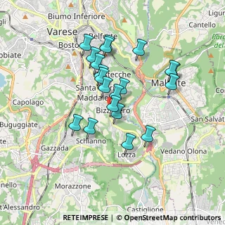 Mappa Via Carletto Ferrari, 21100 Varese VA, Italia (1.5045)