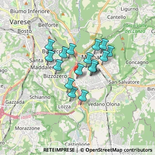 Mappa Via Friuli, 21046 Malnate VA, Italia (1.24412)