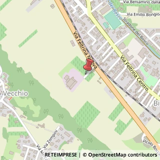 Mappa Via Feltrina Nuova, 33, 31044 Montebelluna, Treviso (Veneto)