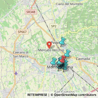 Mappa Via Capo di Monte, 31044 Montebelluna TV, Italia (1.84769)