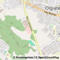 Mapa Olgiate Comasco