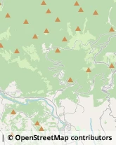 Caccia e Pesca Articoli - Dettaglio Asiago,36012Vicenza