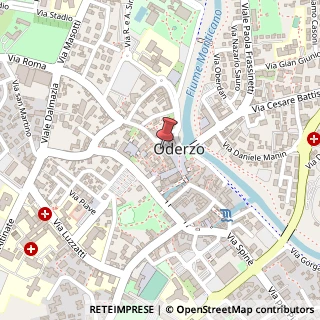 Mappa Via dall'Ongaro F., 9, 31046 Oderzo, Treviso (Veneto)