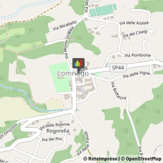 Aziende Agricole Bodio Lomnago,21020Varese
