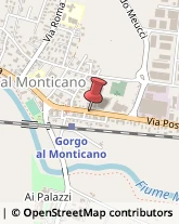 Via Postumia Centro, 68,31040Gorgo al Monticano