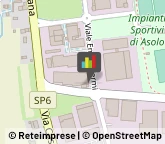 Articoli Sportivi - Dettaglio,31011Treviso