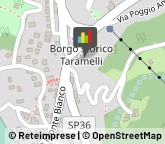 Articoli Sportivi - Dettaglio Selvino,24020Bergamo