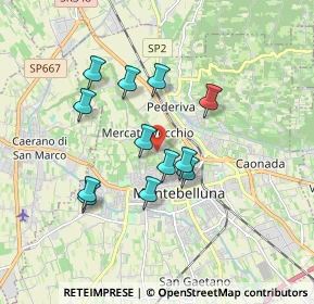 Mappa Via Mercato Vecchio, 31044 Montebelluna TV, Italia (1.50333)