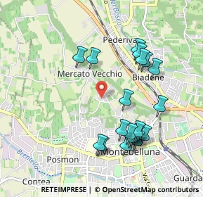 Mappa Via Mercato Vecchio, 31044 Montebelluna TV, Italia (0.9725)