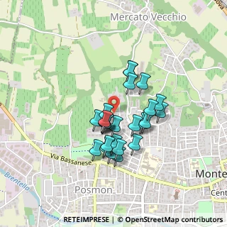 Mappa Via Foresto, 31044 Montebelluna TV, Italia (0.31923)