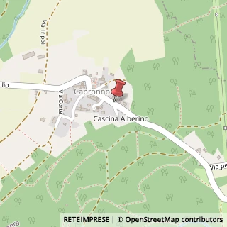 Mappa Via Sant'Ambrogio, 13, 21021 Capronno VA, Italia, 21021 Angera, Varese (Lombardia)