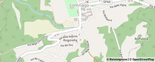 Mappa Bodio Lomnago