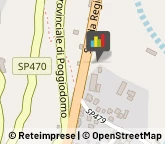 Divani e Poltrone - Produzione e Ingrosso,06045Perugia