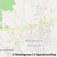 Map Minervino di Lecce