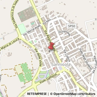 Mappa Via Giuseppe Grassi, 75, 73017 Sannicola, Lecce (Puglia)
