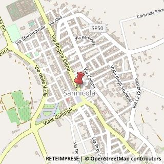 Mappa Via Regina Elena,  14, 73052 Sannicola, Lecce (Puglia)