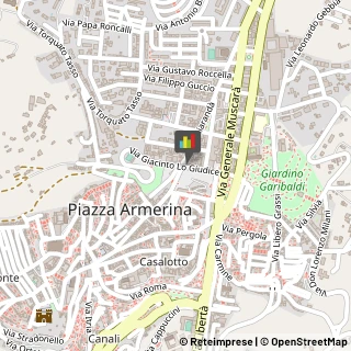 Licei - Scuole Private Piazza Armerina,94015Enna