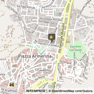 Pelliccerie Piazza Armerina,94015Enna