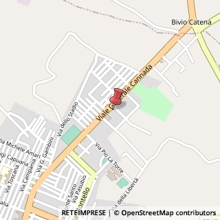 Mappa Via Generale Cannada, 509, 94012 Barrafranca, Enna (Sicilia)